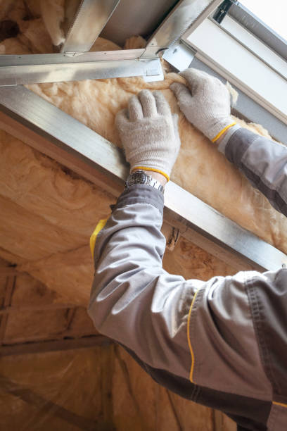 Best Home Insulation Services  in Providence Village, TX