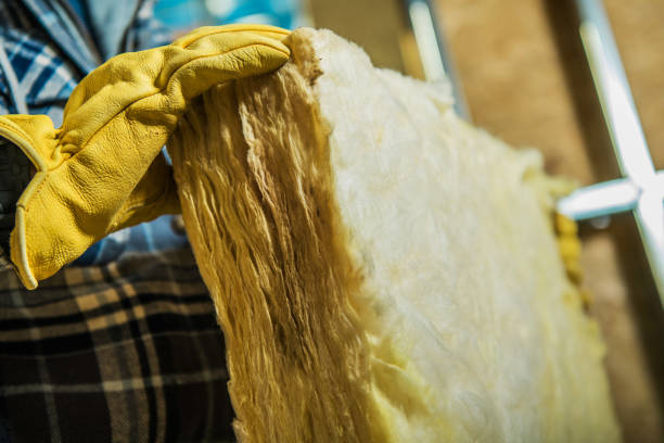 Best Insulation Inspection Services  in Providence Village, TX